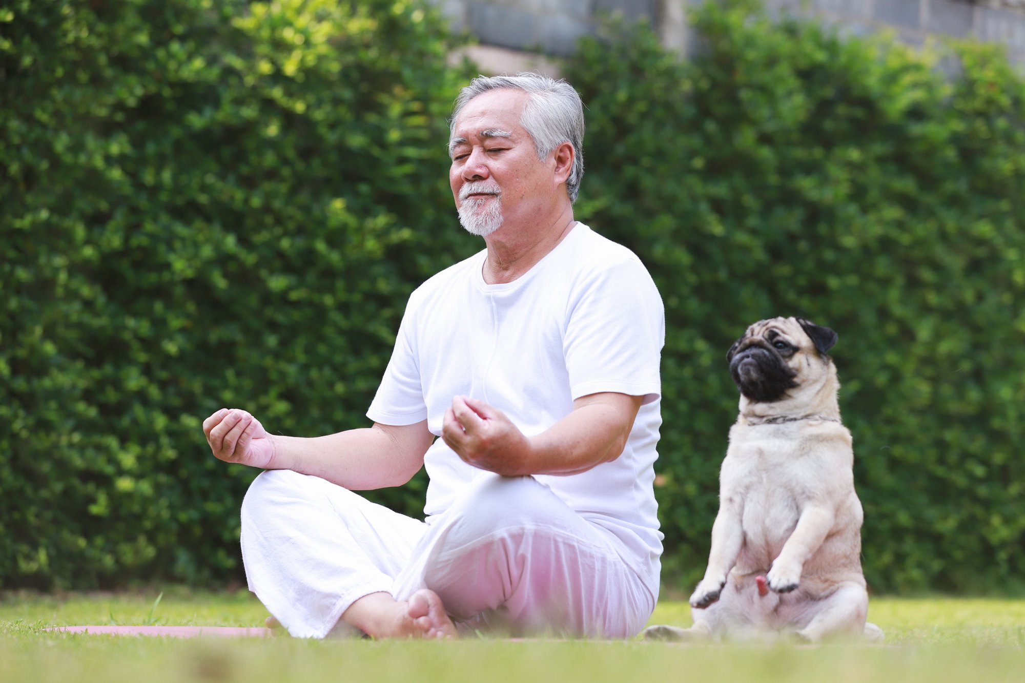 Reverse Mortgage Meditating Retirement Peace of Mind With Dog